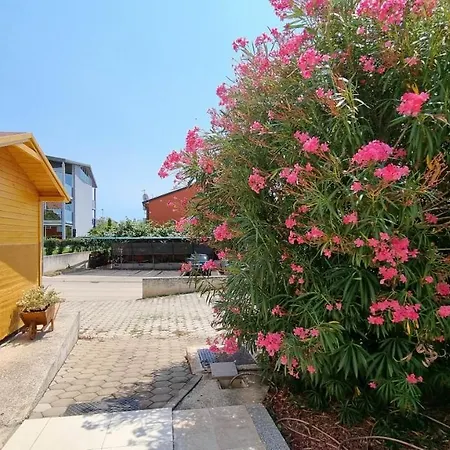 Mark Apartment Novigrad (Istria)