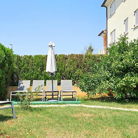 Mark Novigrad (Istria)